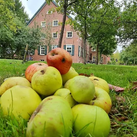 Lejlighed Gulfhof Boomgaarden 11 Mettinus Krummhörn