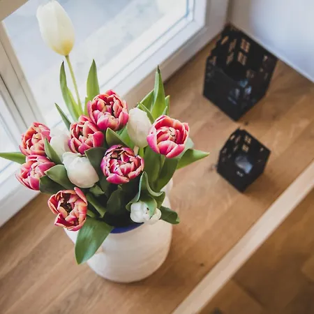 Gulfhof Boomgaarden Boomgaarden 11 Mettinus 아파트