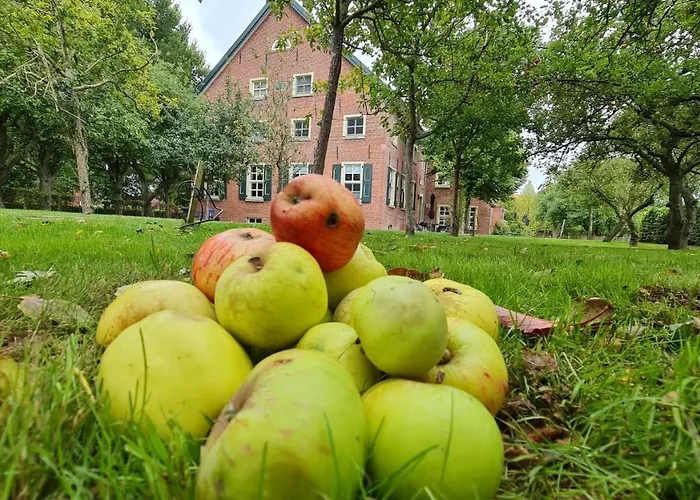Lejlighed Gulfhof Boomgaarden Boomgaarden 11 Mettinus Krummhörn